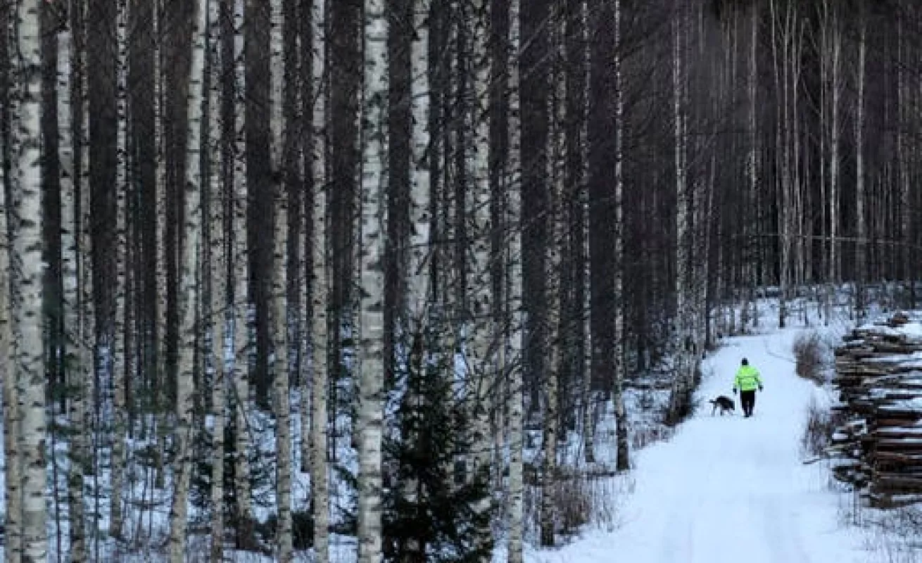 #GaleriaCri Paisajes de la vida diaria