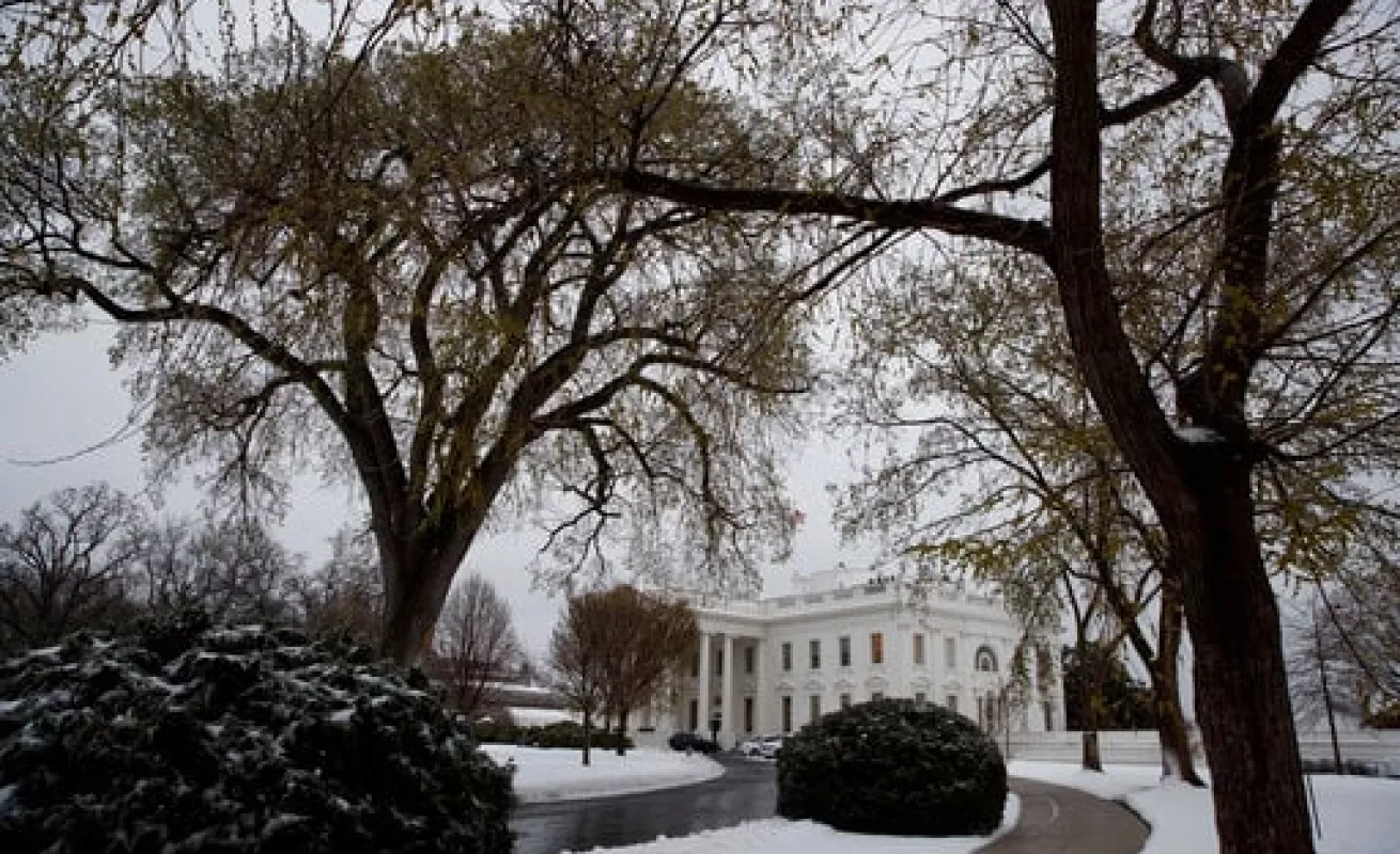 #GaleriaCri Stella cubre a Washington de blanco