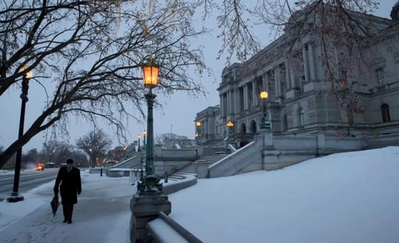 #GaleriaCri Stella cubre a Washington de blanco