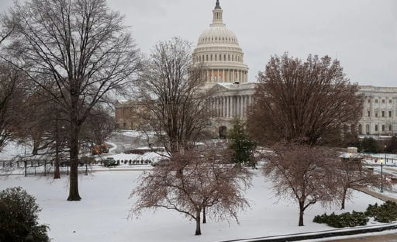 #GaleriaCri Stella cubre a Washington de blanco