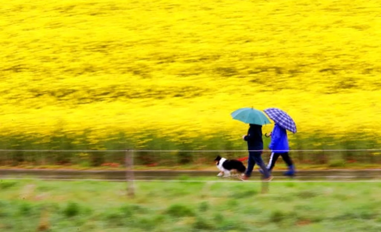 #GaleriaCri Imágenes del mundo