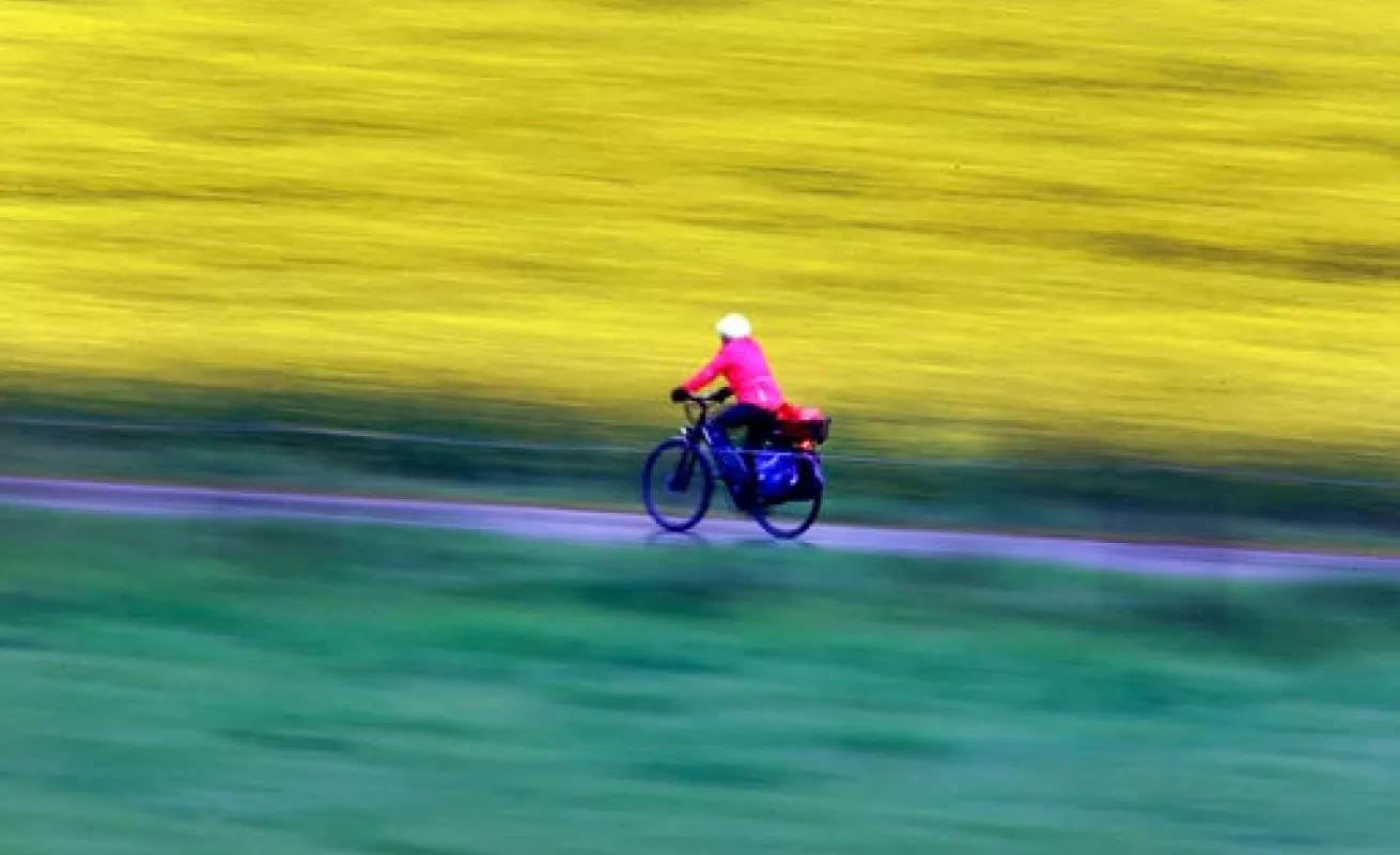 #GaleriaCri Imágenes del mundo