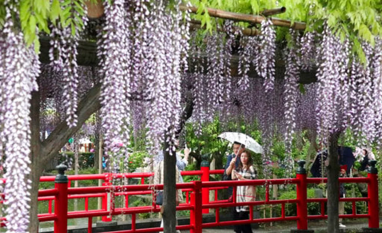 #GaleriaCri Imágenes del mundo