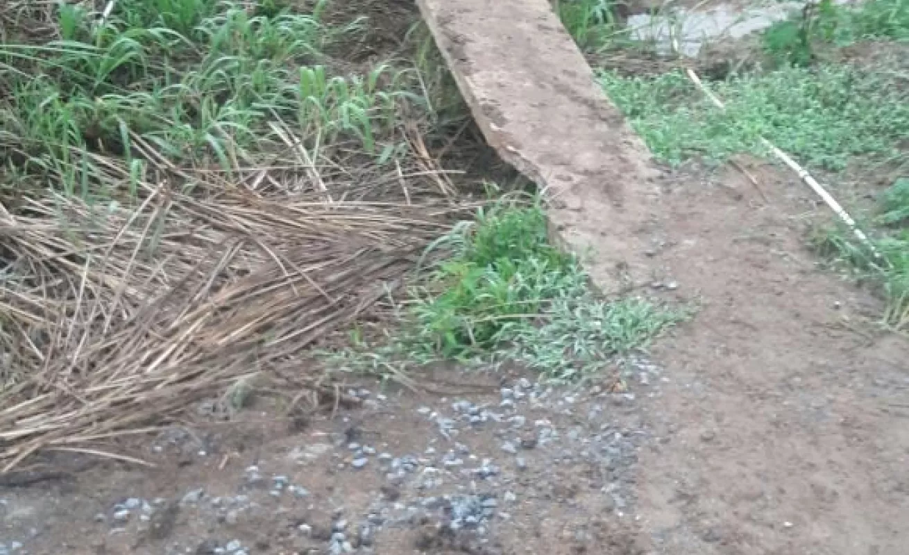 Denuncias que dan miedo 