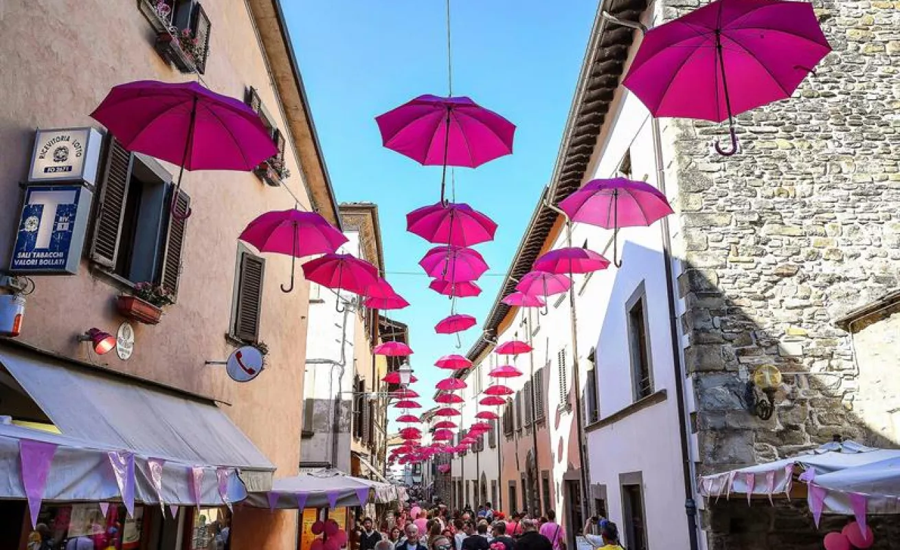 #GaleriaCri Fotos del día