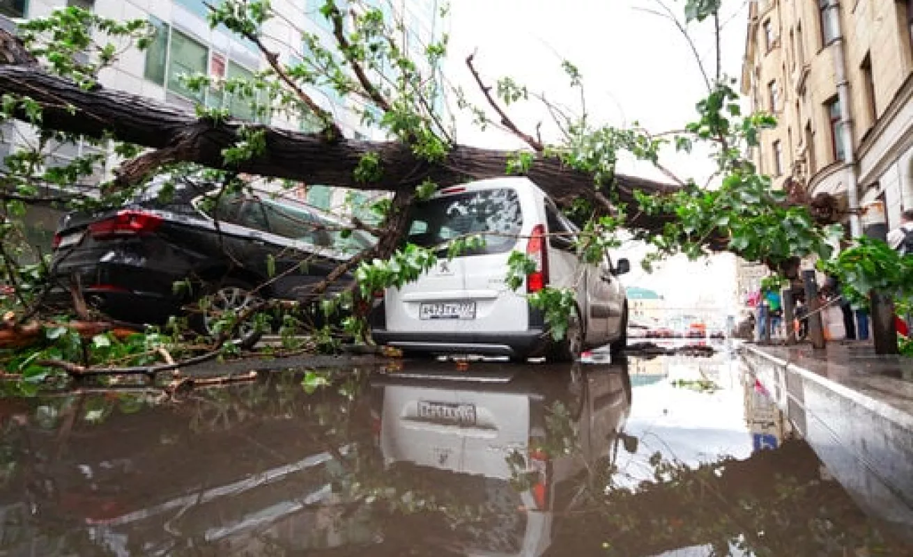 #GaleriaCri Golpeados por el mal tiempo