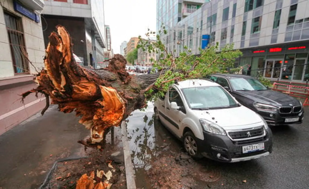 #GaleriaCri Golpeados por el mal tiempo