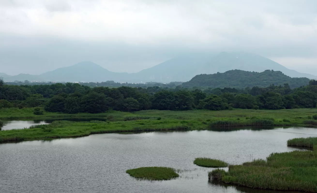 #GaleriaCri Paisaje de Hong Kong