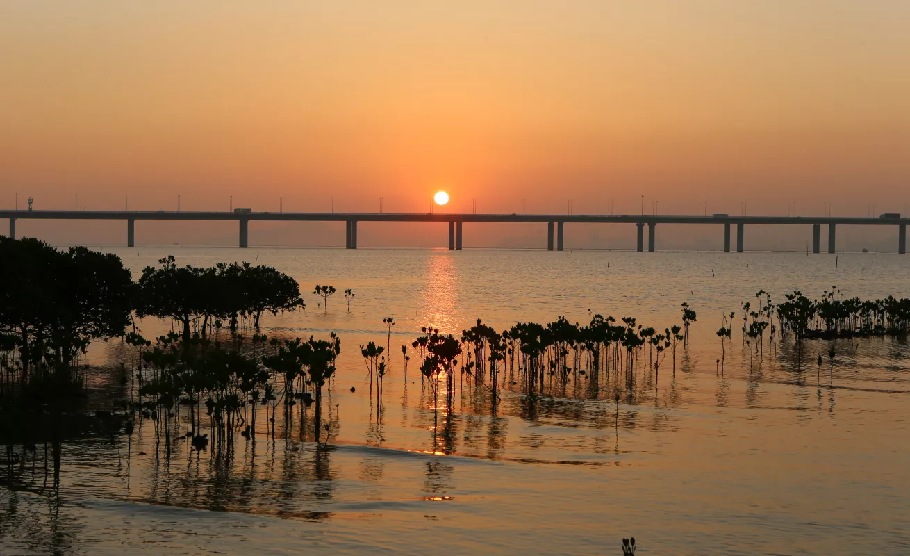 #GaleriaCri Paisaje de Hong Kong