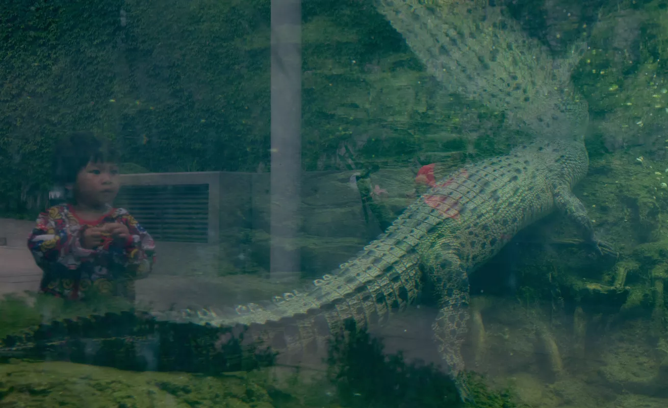 #GaleriaCri Paisaje de Hong Kong