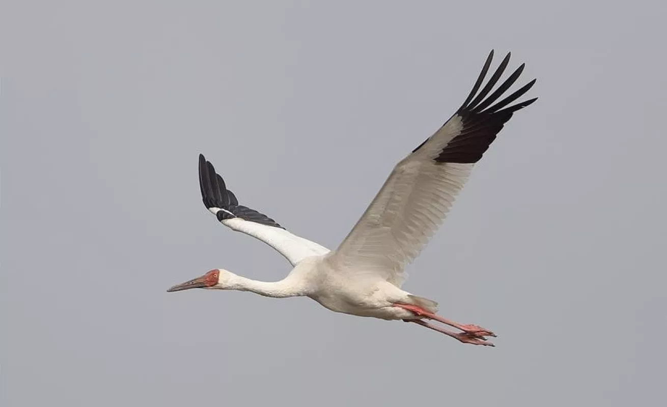 #GaleriaCri Paisaje de Hong Kong
