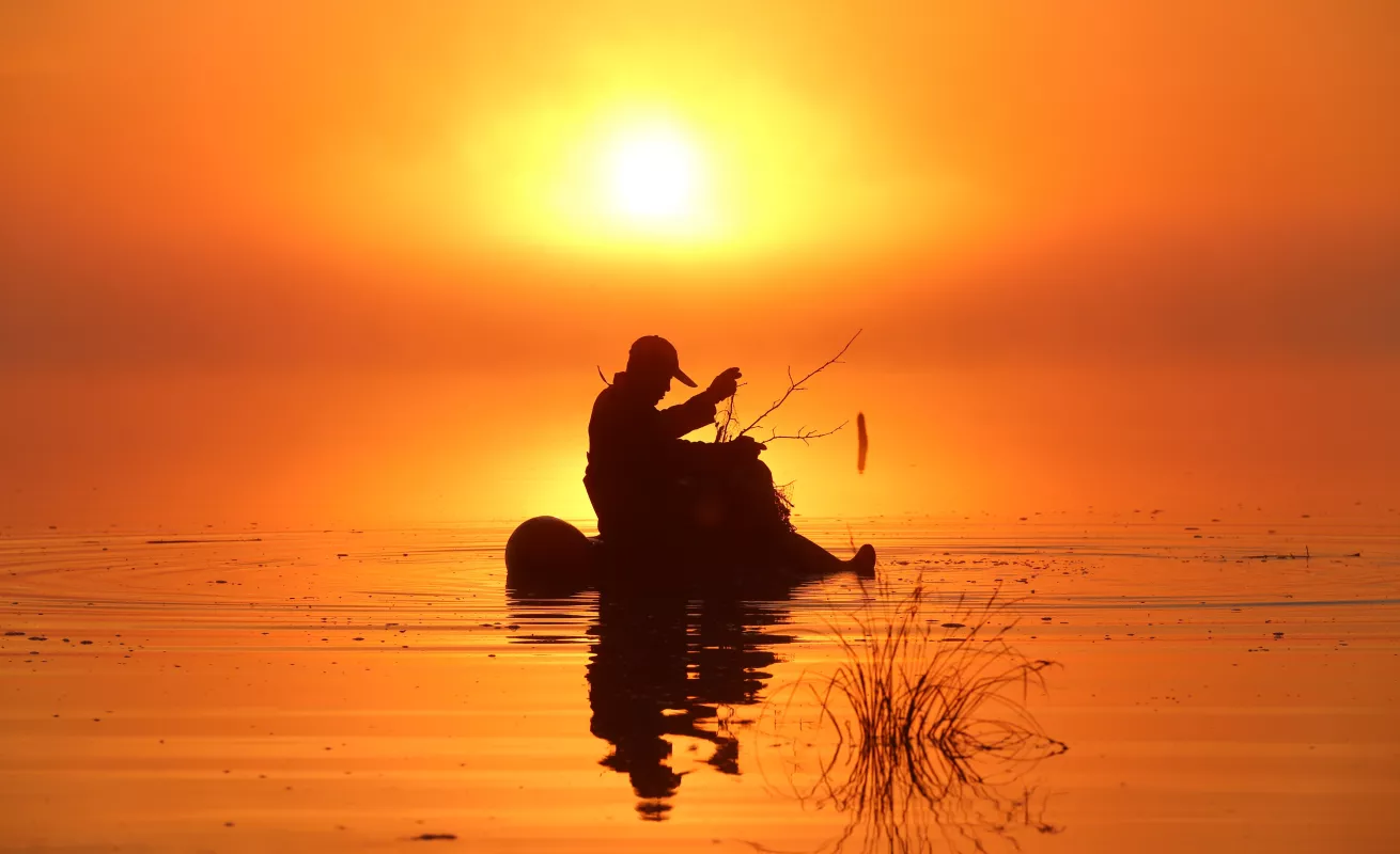 #GaleriaCri Vistas del humedal Heilongjiang