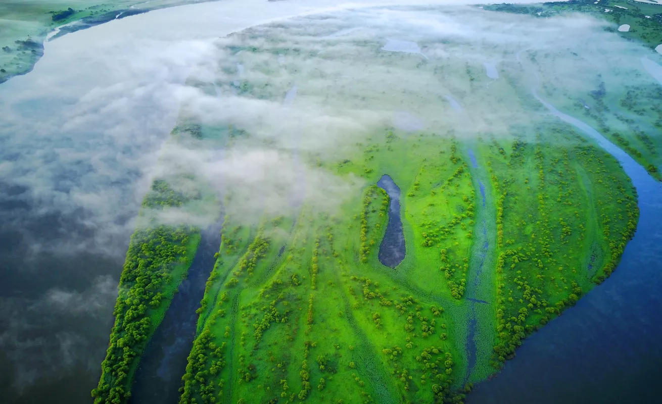 #GaleriaCri Vistas del humedal Heilongjiang