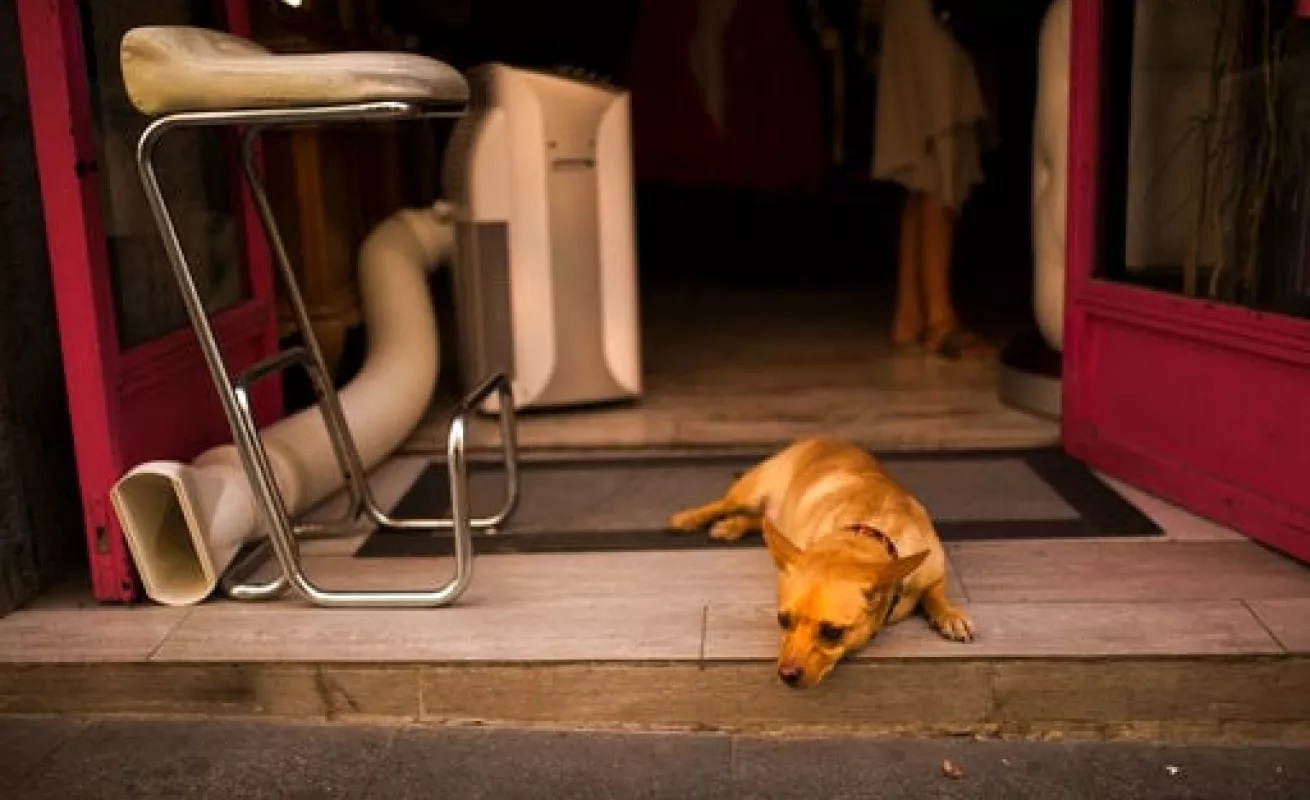 #GaleriaCri Ola de calor en España