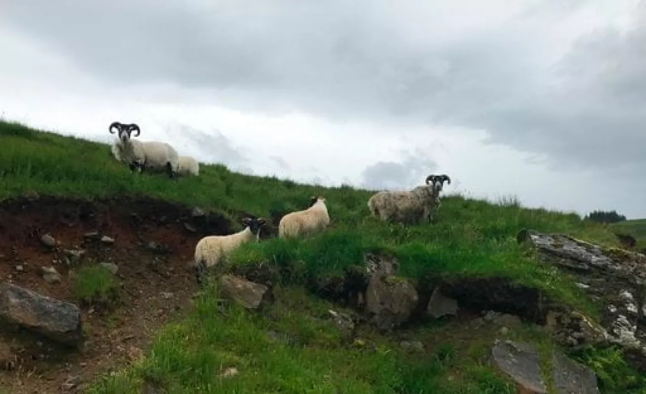 #GaleriaCri Escapada a Escocia