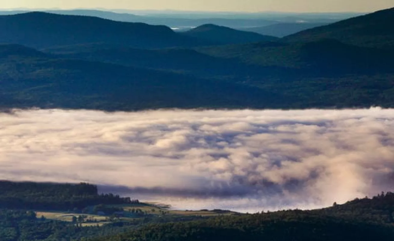 #GaleriaCri Vida diaria