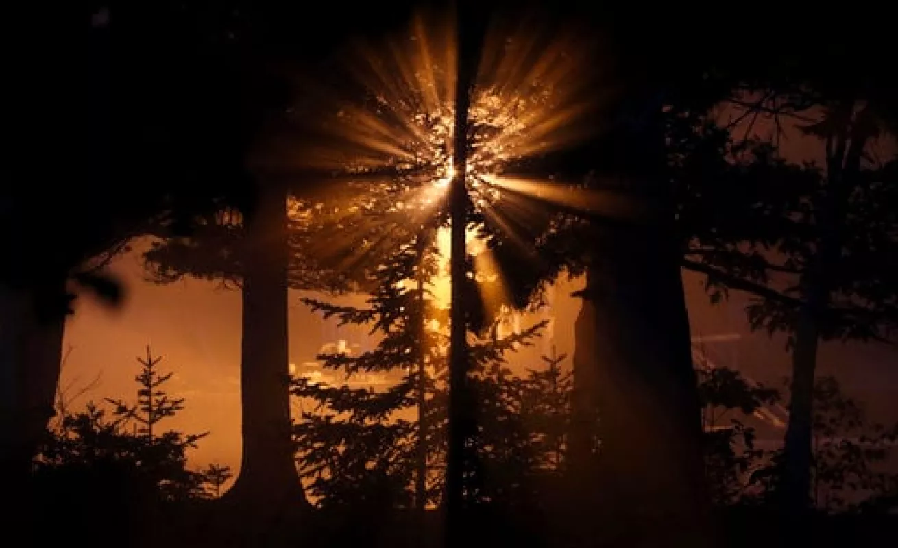 #GaleriaCri Vida diaria