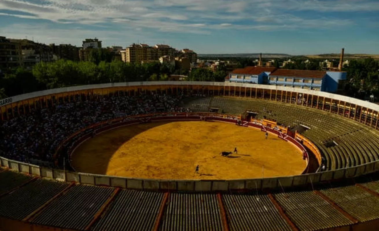 #GaleriaCri Vida diaria