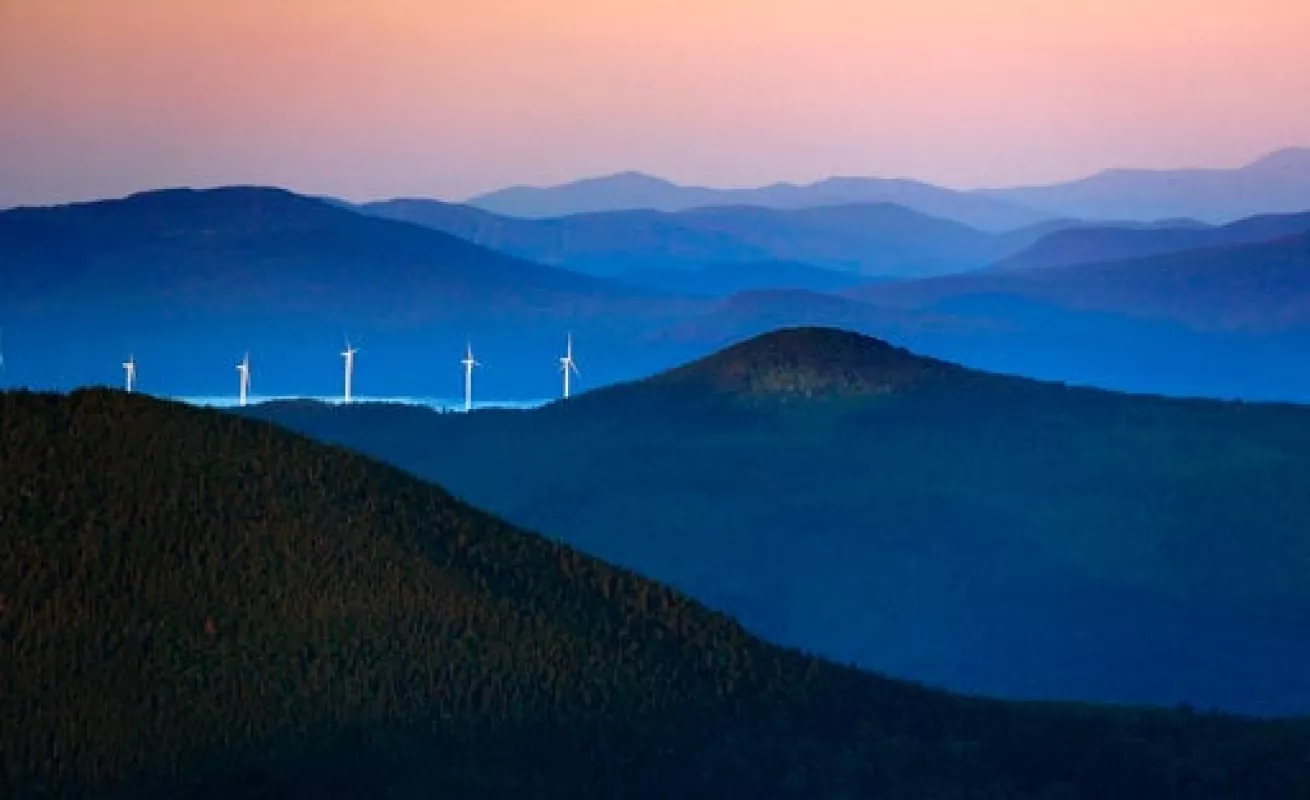 #GaleriaCri Vida diaria