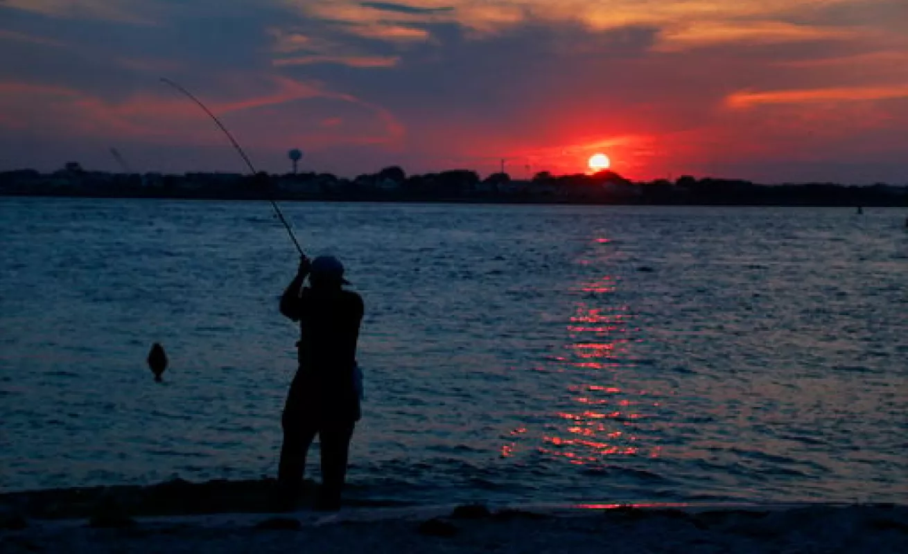 #GaleriaCri La vida es bella, disfrútala