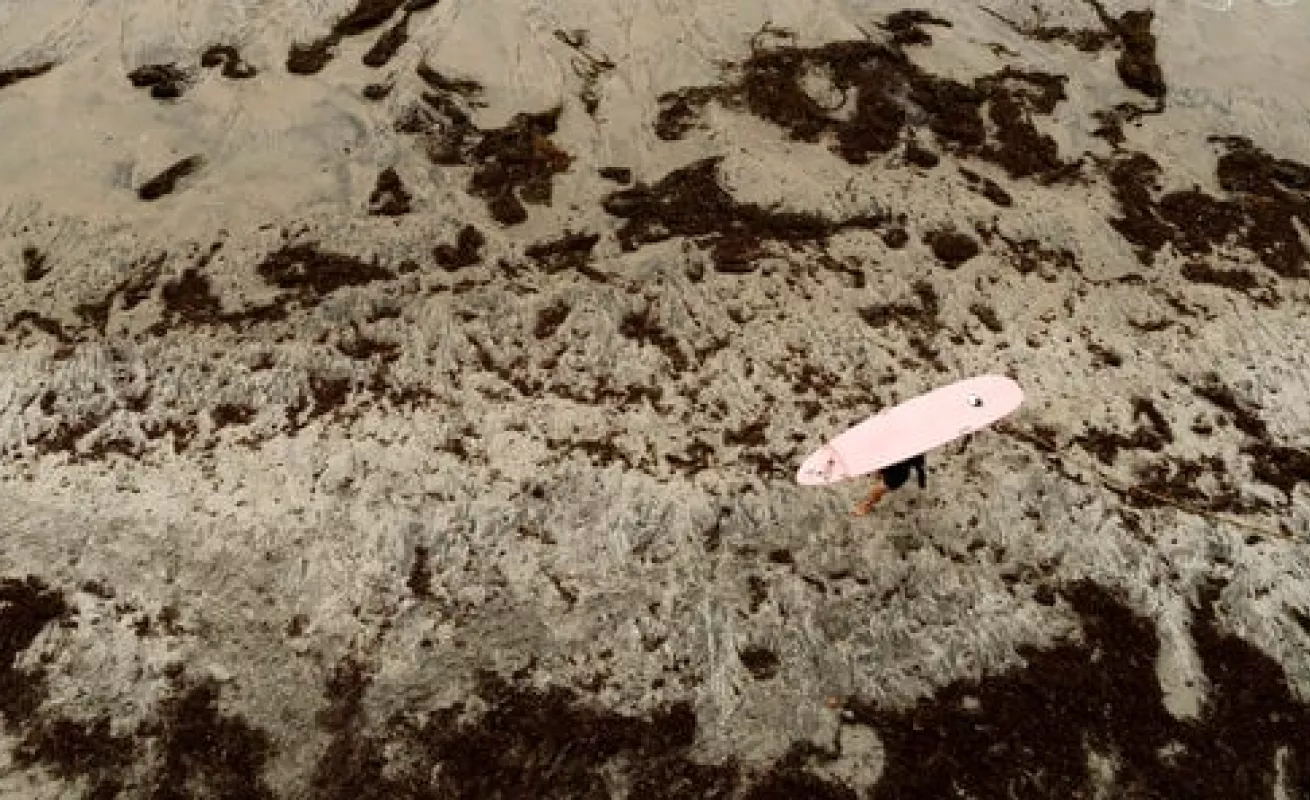 #GaleriaCri Disfruta de las cosas sencillas de la vida