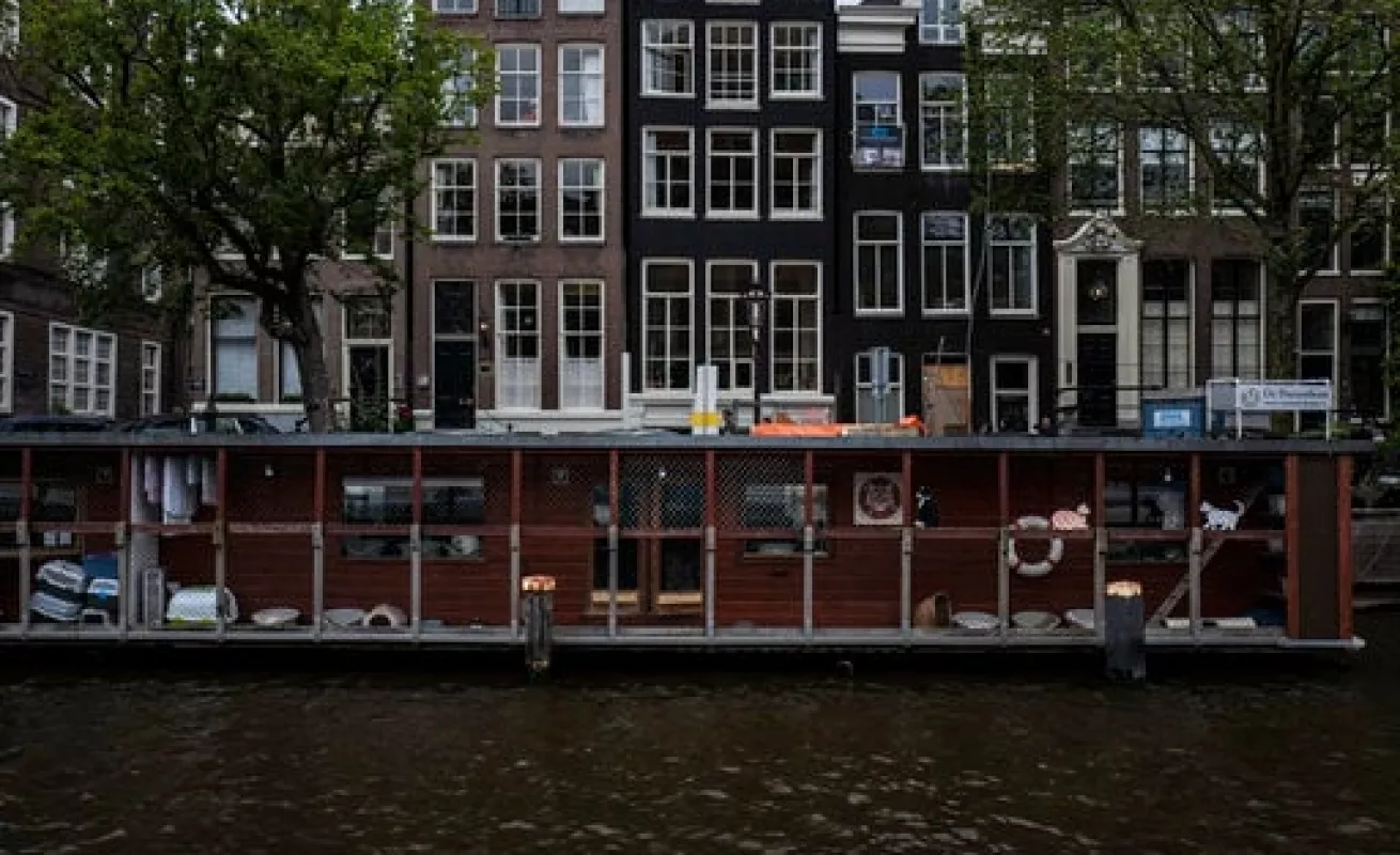 #GaleriaCri Gatos encuentran hogar en barcaza en Ámsterdam 