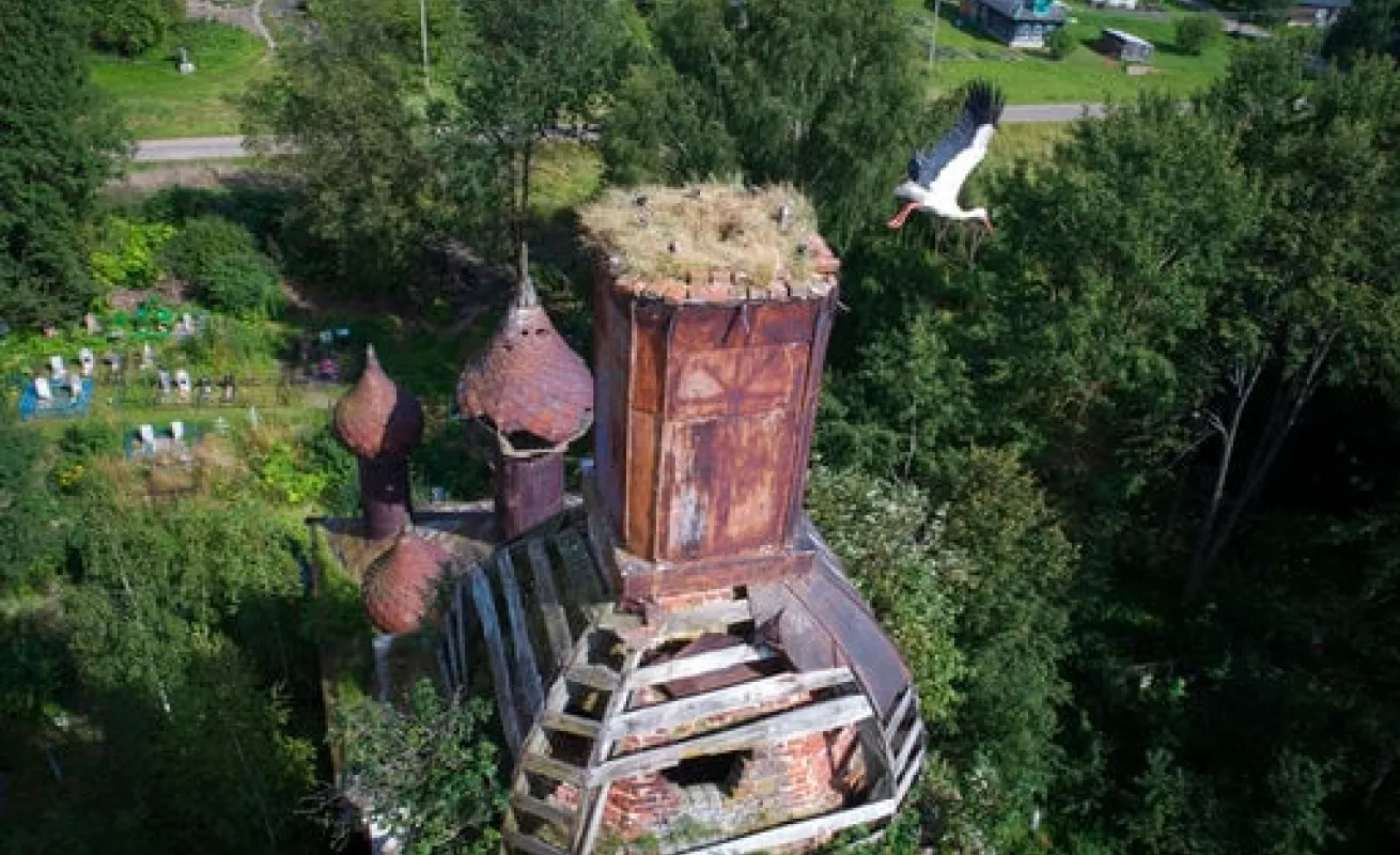 #GaleriaCri Placeres de la vida