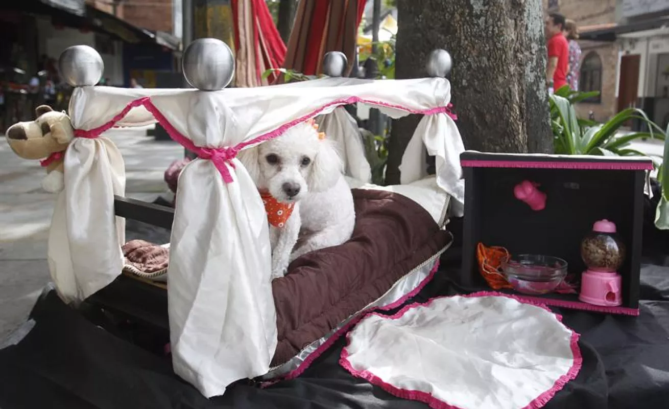 #GaleriaCri "Oda al descanso"