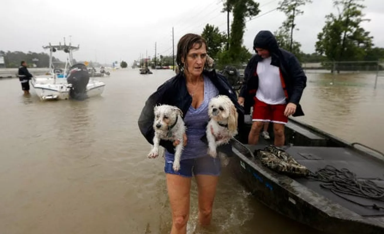 #GaleriaCri Texas bajo el agua tras el paso de Harvey
