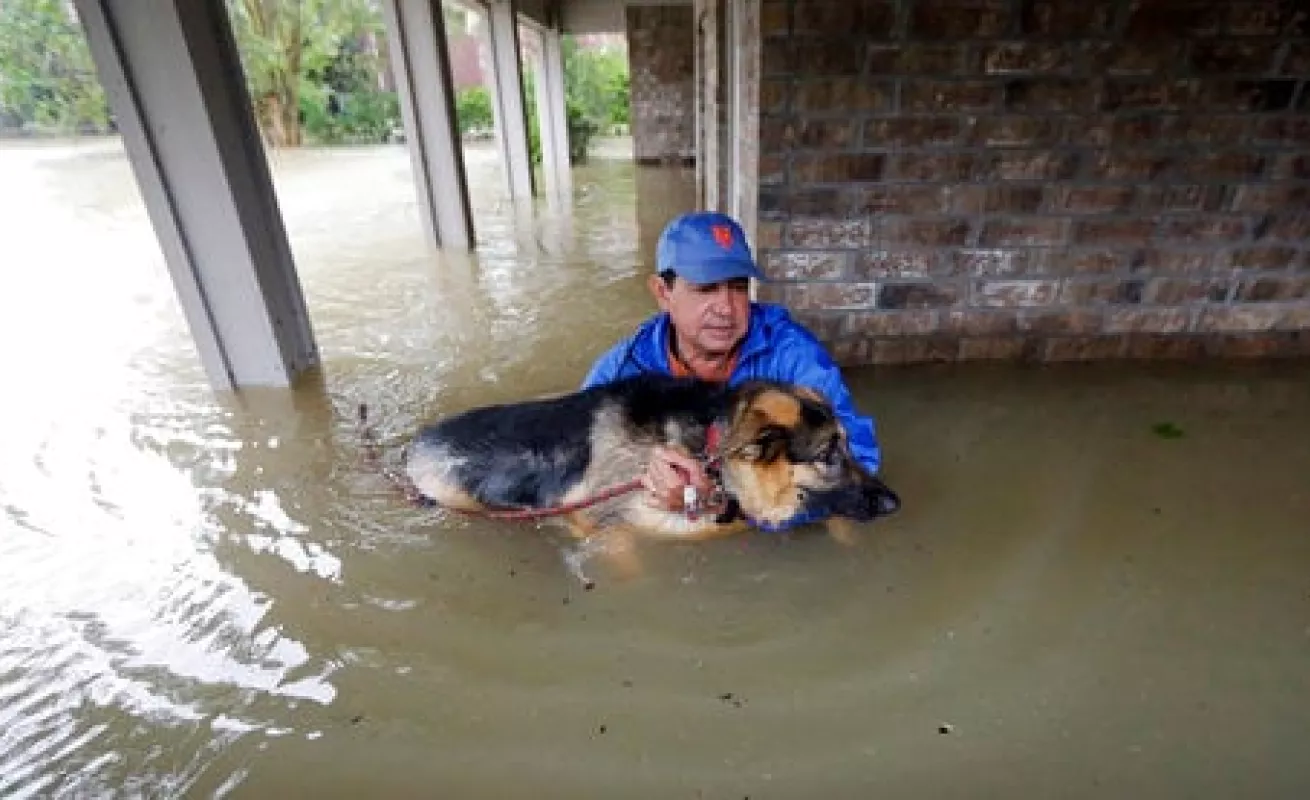 #GaleriaCri Texas bajo el agua tras el paso de Harvey