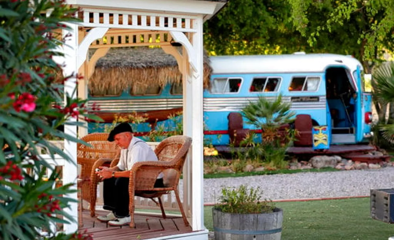 #GaleriaCri Dell Shady 