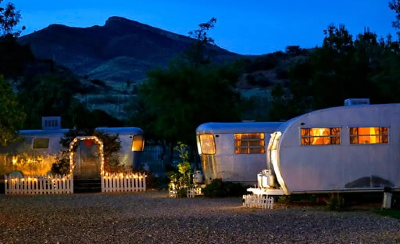 #GaleriaCri Dell Shady 