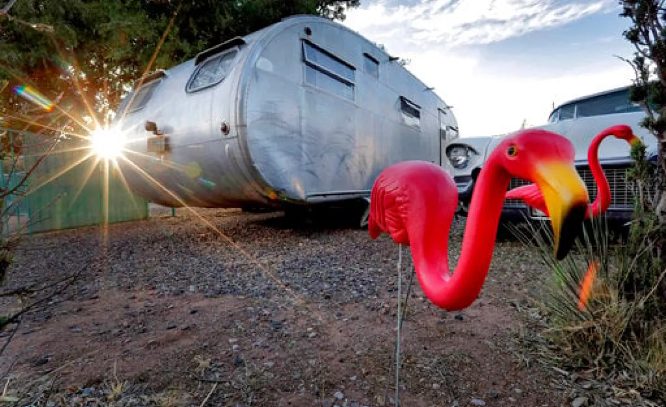 #GaleriaCri Dell Shady 