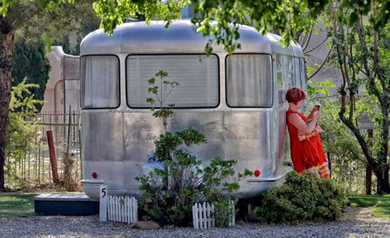 #GaleriaCri Dell Shady 