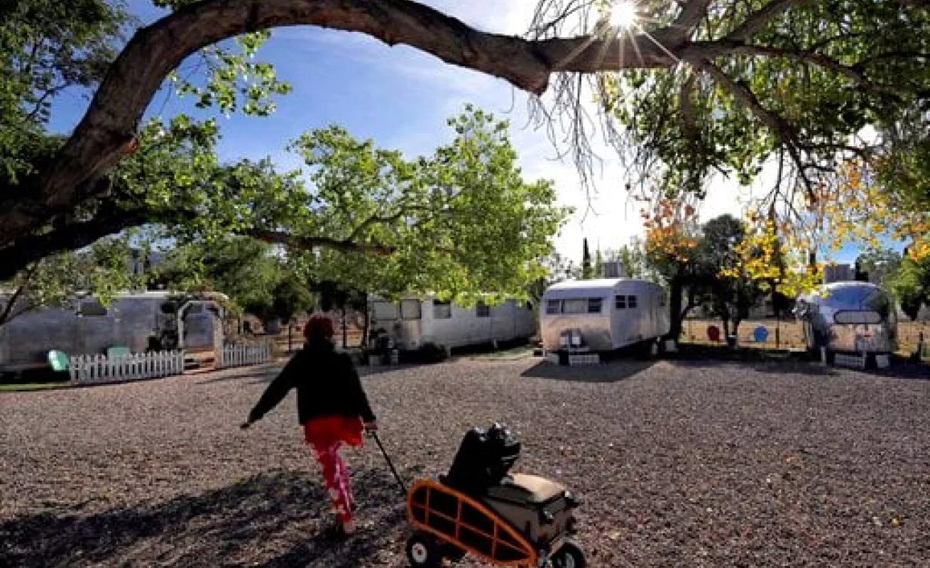 #GaleriaCri Dell Shady 