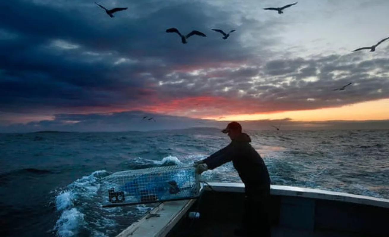 #GaleriaCri Tranquilidad al atardecer