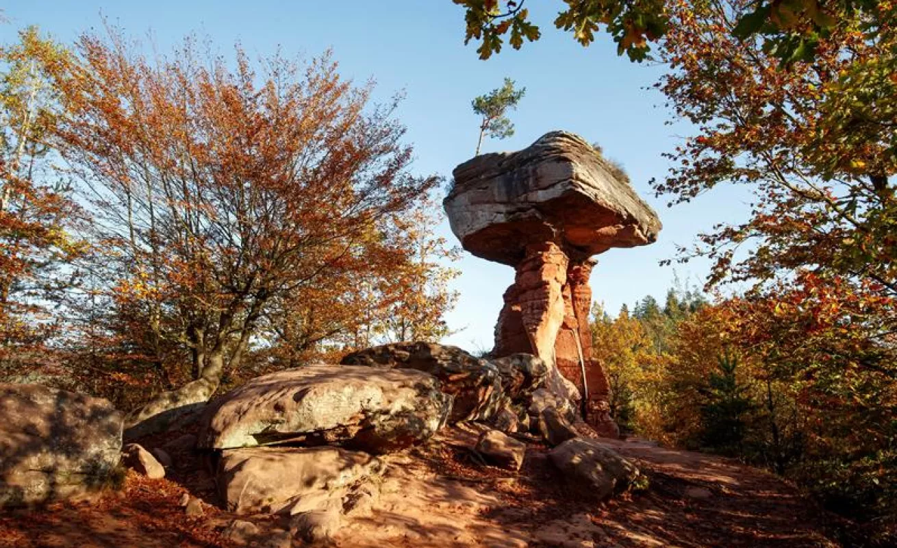 #GaleriaCri Paisajes turísticos alrededor del mundo