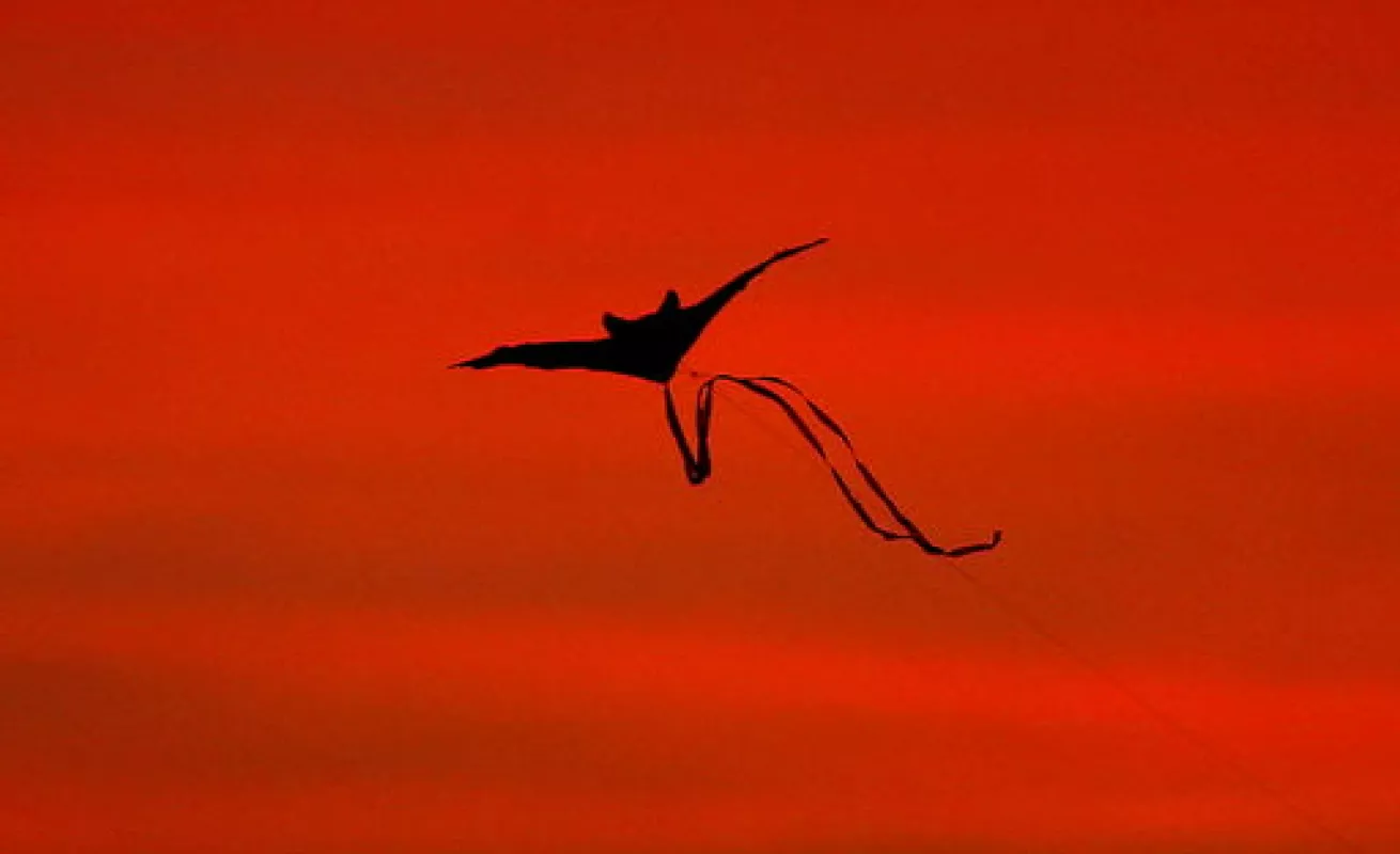 #GaleriaCri Postales de Alemania