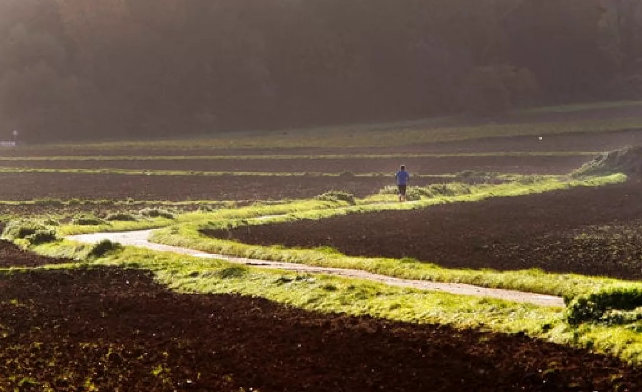 #GaleriaCri Postales de Alemania