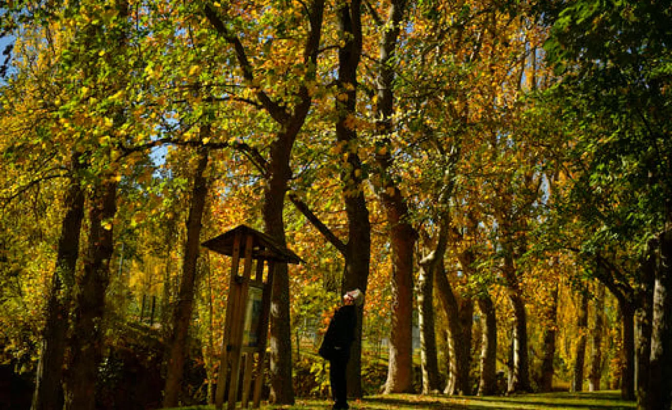 #GaleriaCri España, misterio y cultura