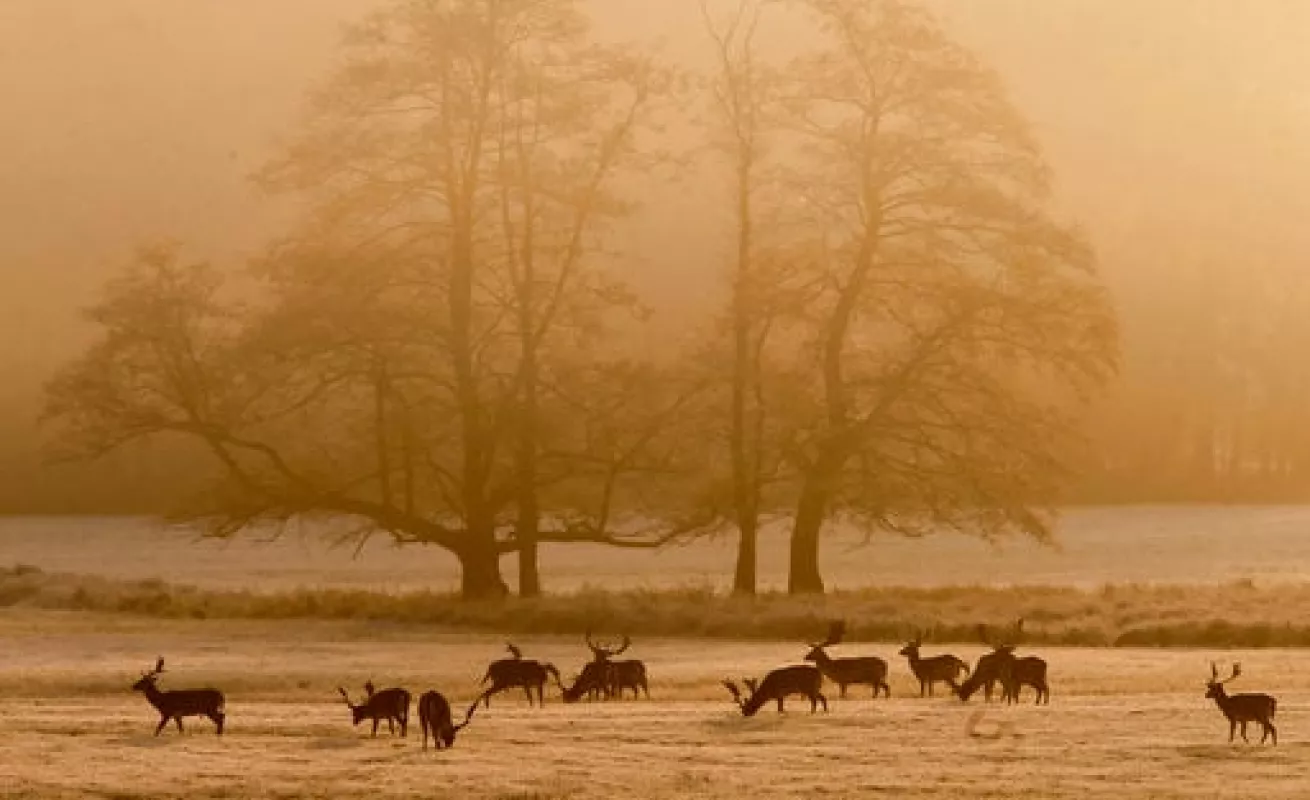 #GaleriaCri Puesta de sol