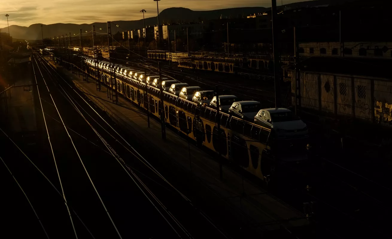 #GaleriaCri Vive, disfruta la vida