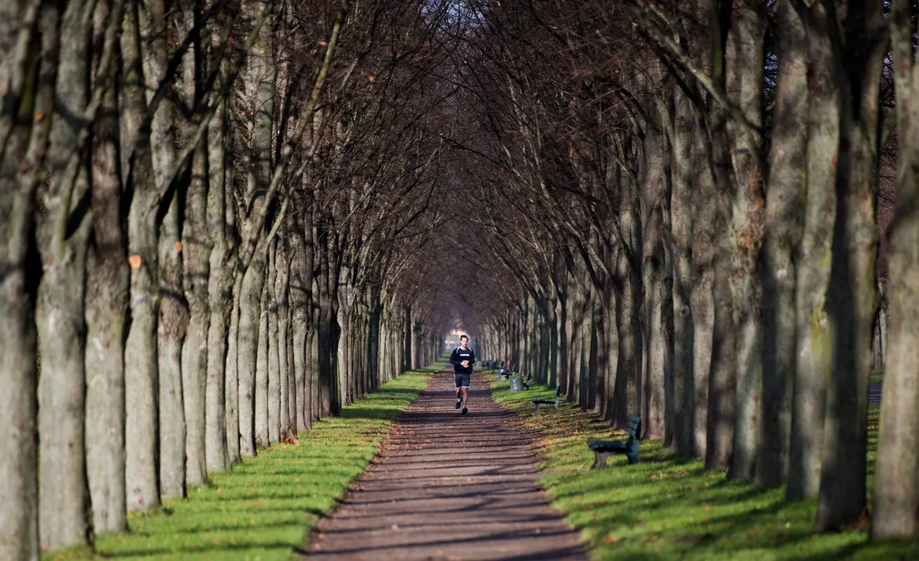 #GaleriaCri Vive, disfruta la vida