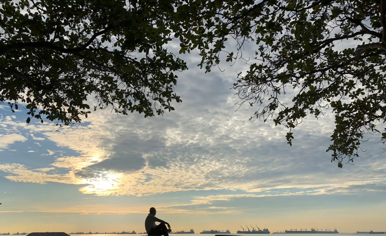 #GaleriaCri Vive, disfruta la vida