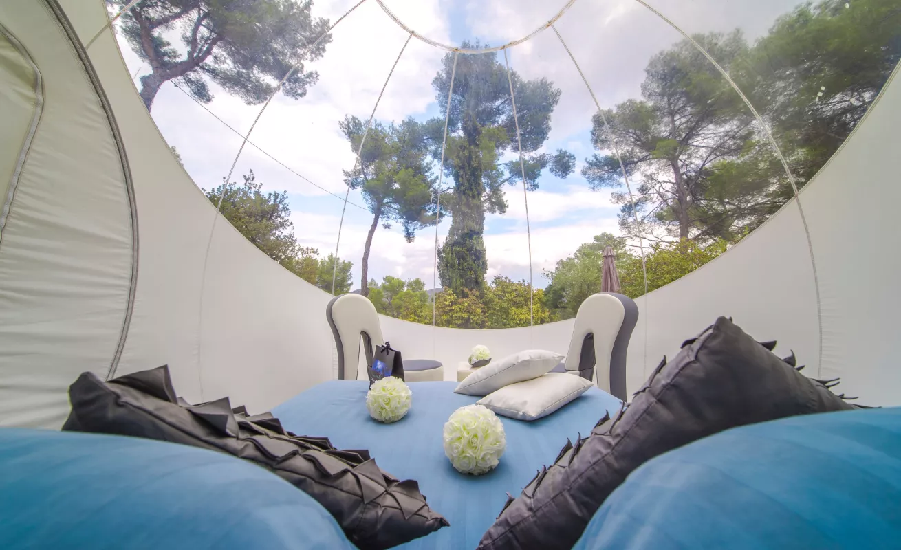 #GaleriaCri  Disfrutando de las "habitaciones burbuja"