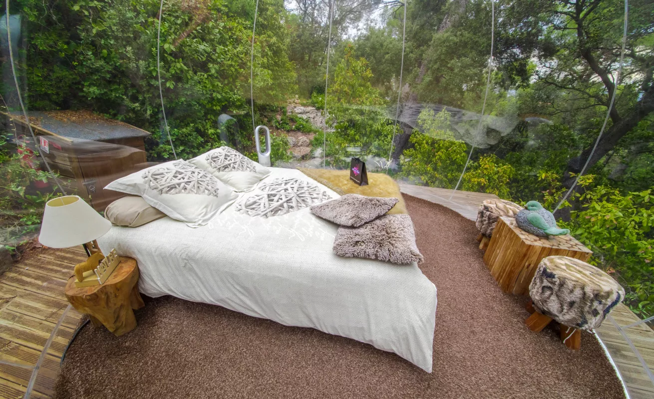 #GaleriaCri  Disfrutando de las "habitaciones burbuja"