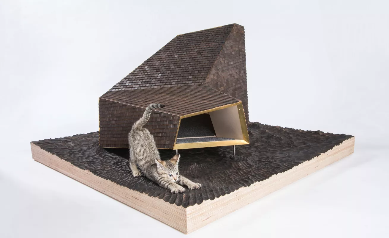 #GaleriaCri Arquitectura para gatos