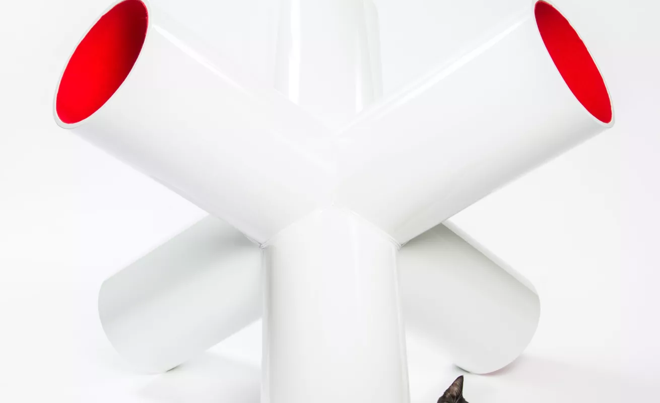 #GaleriaCri Arquitectura para gatos