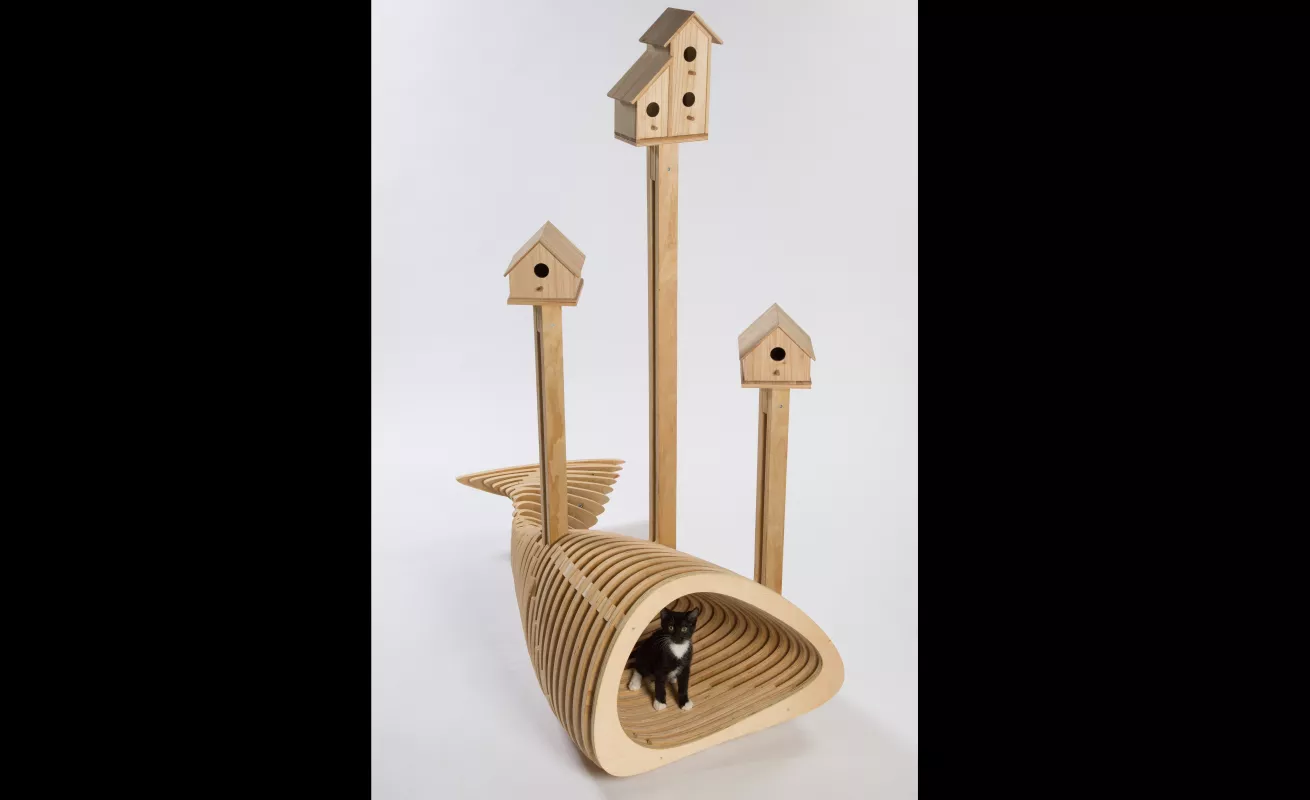 #GaleriaCri Arquitectura para gatos