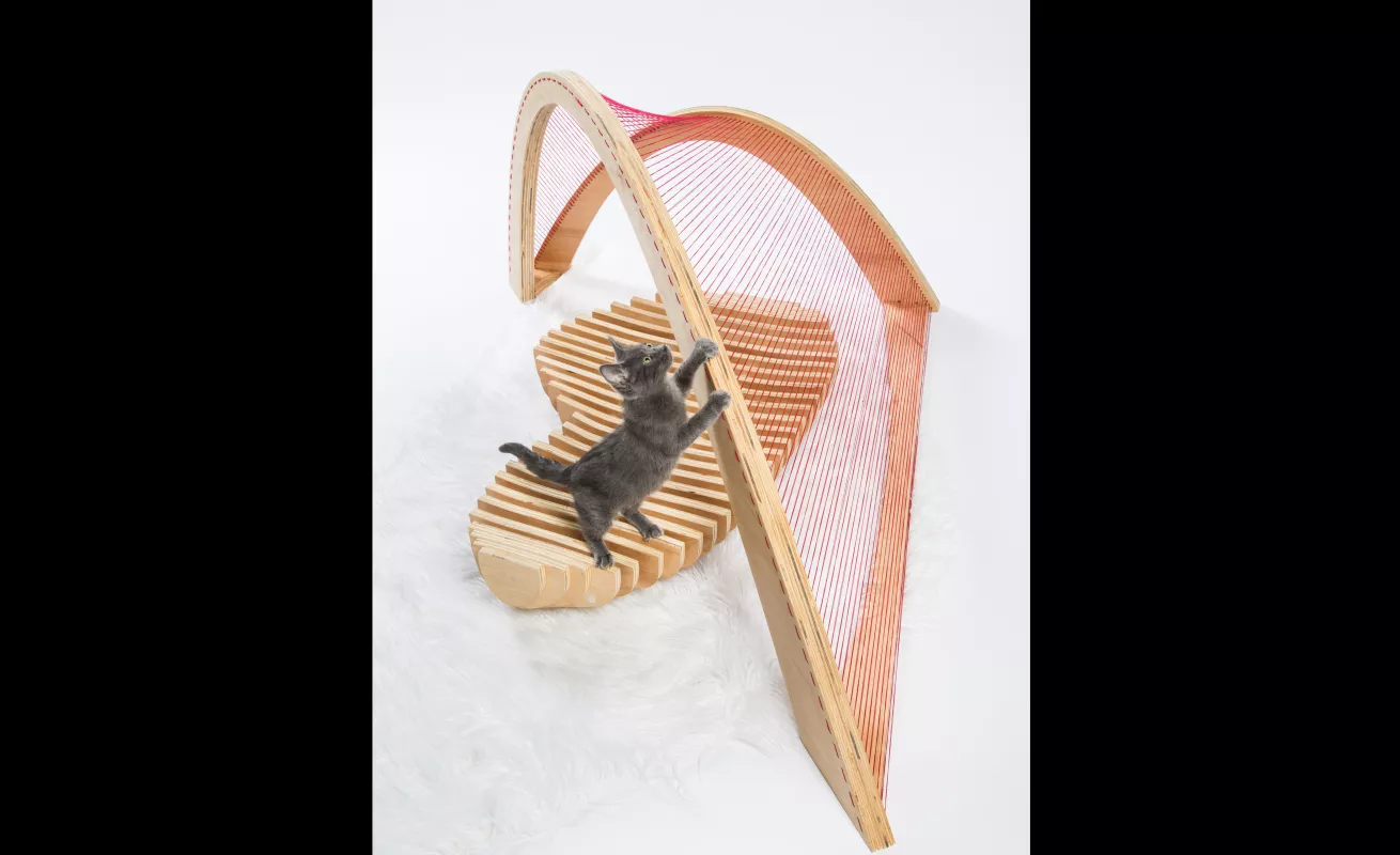 #GaleriaCri Arquitectura para gatos